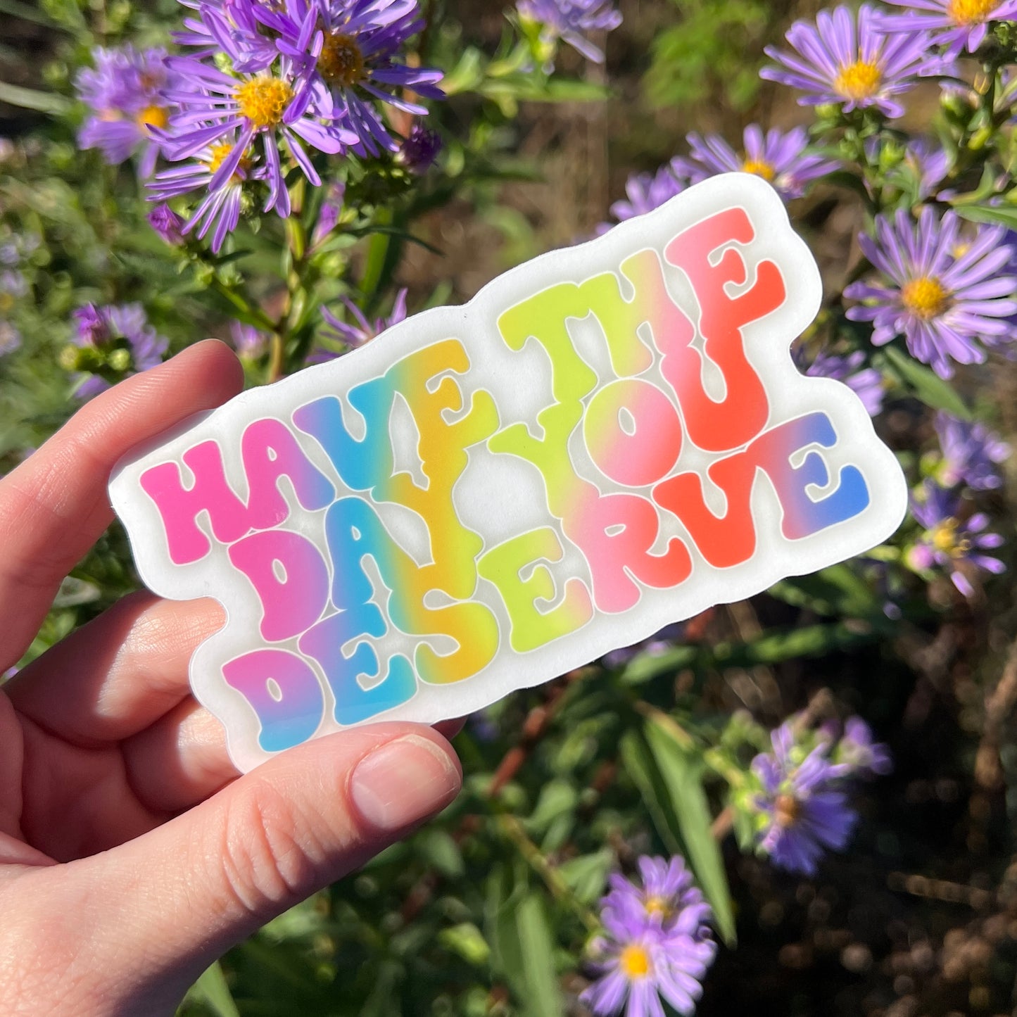 have the day you deserve clear sticker