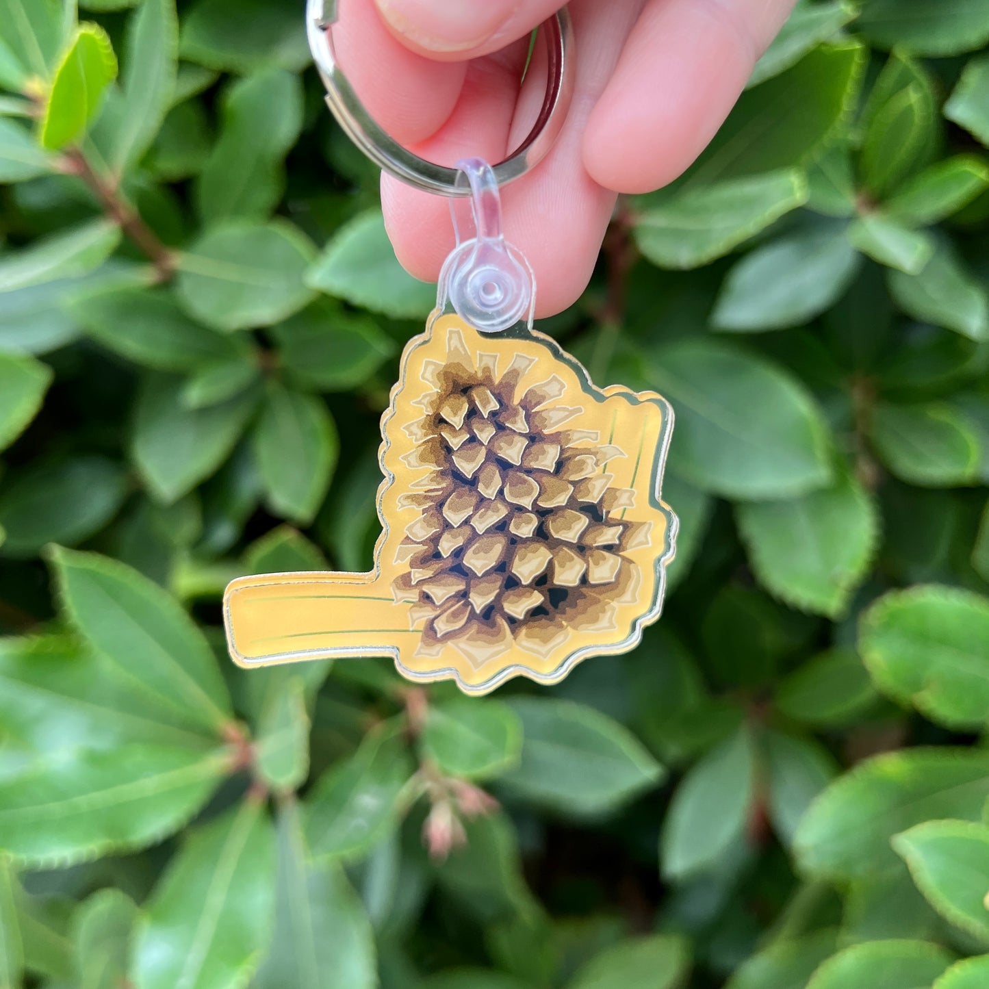 pinecone keychain